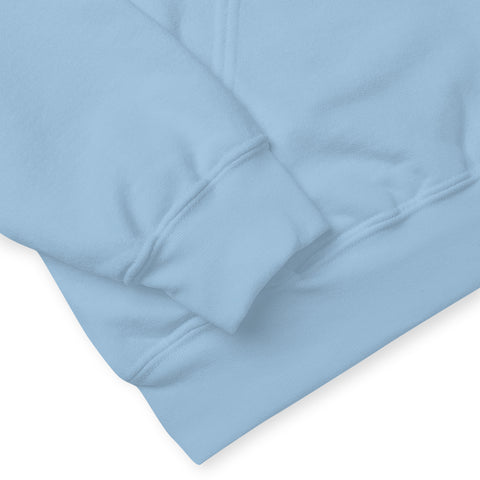 Vizsla Club of America | NFT 2025 | Unisex Heavy Blend Hoodie | Small Logo